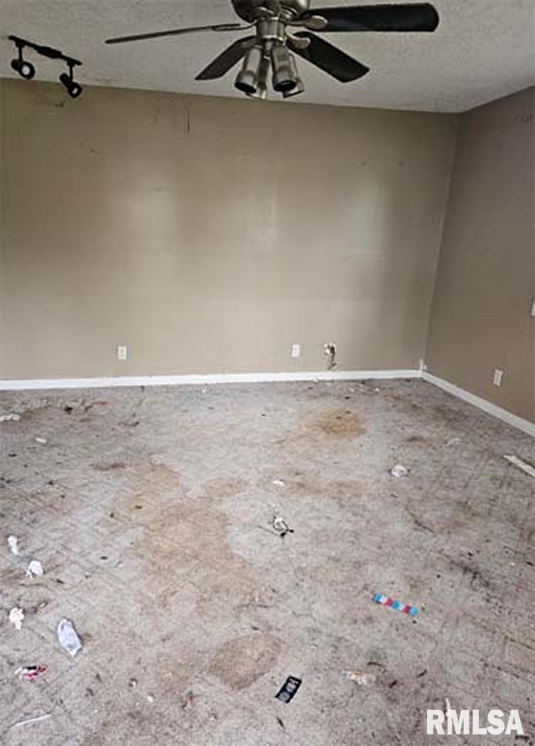 113 South Franklin St Camp Point Camp Point, IL 62320 - Photo 4 of 22 Gallery Image 4