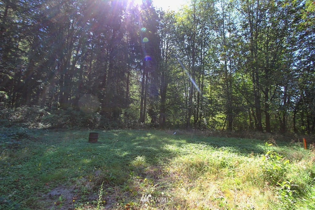 25624 Florence Acres Road Monroe, WA 98272 - Photo 9 of 12