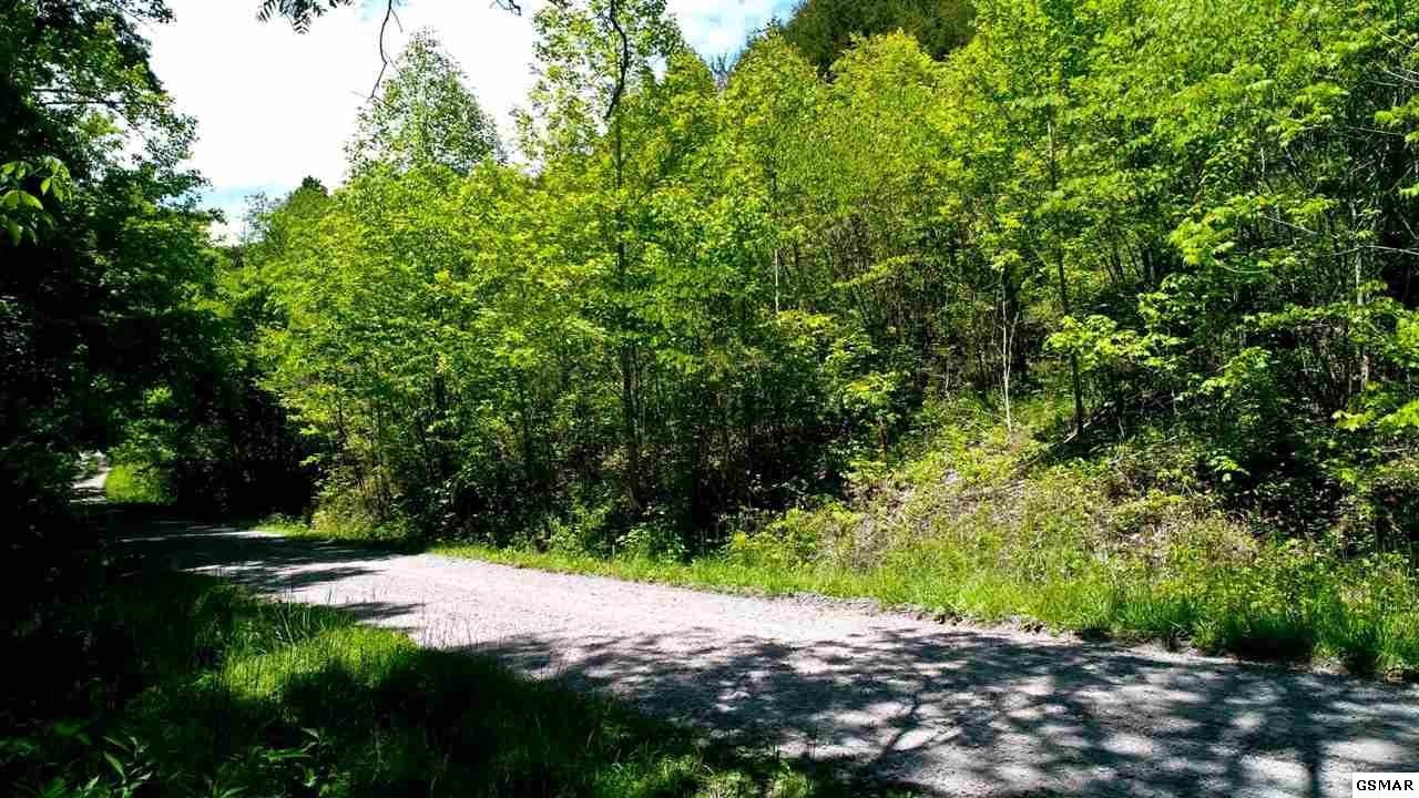 658 Crossfield Way Bybee, TN 37713 - Photo 13 of 21 Gallery Image 13