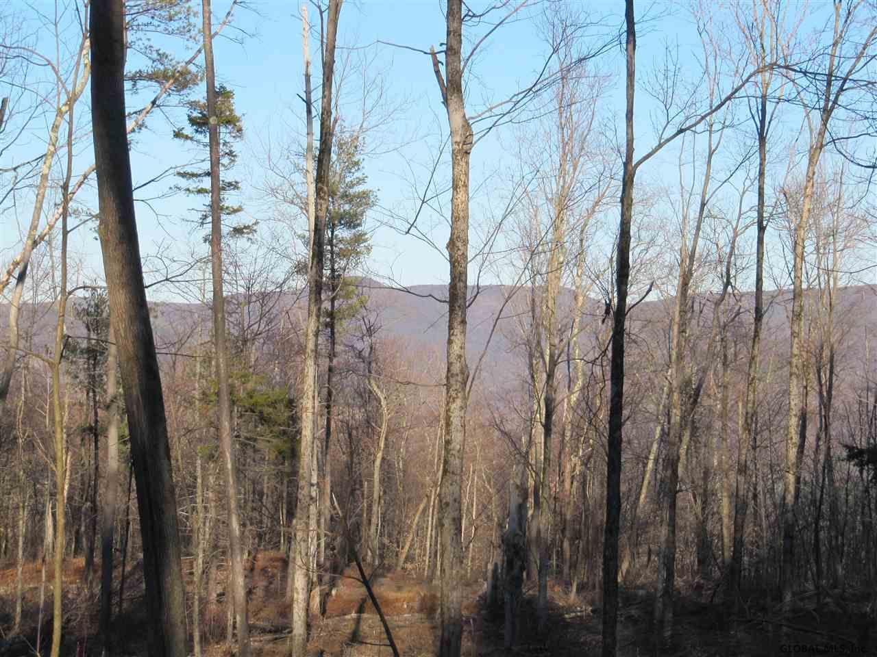 2386 Plank Road Berlin, NY 12138 - Photo 9 of 23 Photo 9