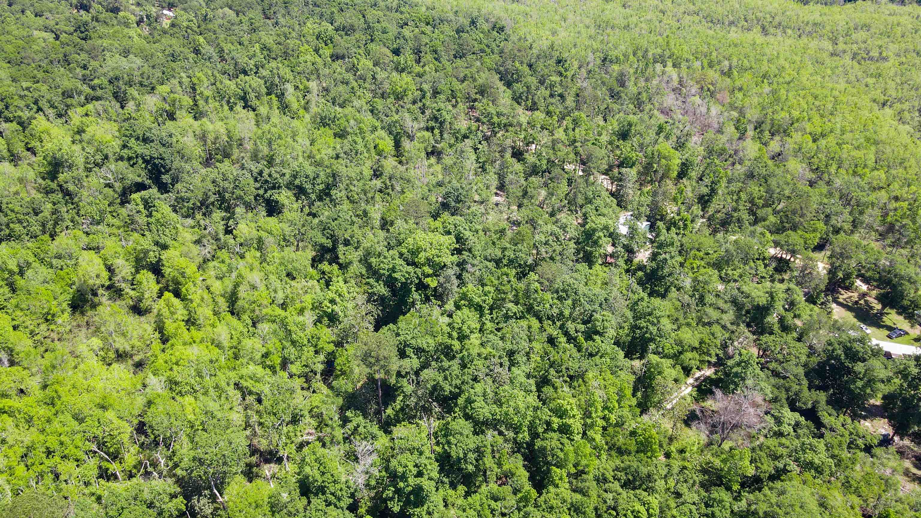 504 Northeast Homesite Road Madison County, FL 32340 - Photo 11 of 28