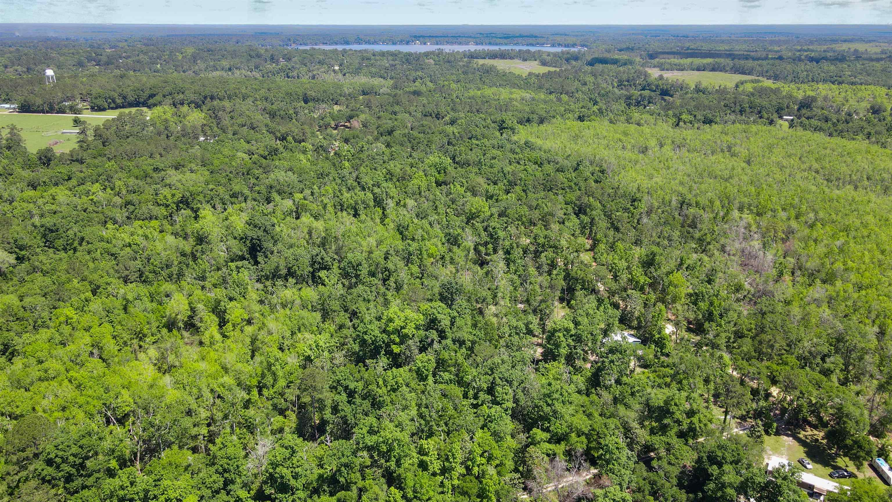 504 Northeast Homesite Road Madison County, FL 32340 - Photo 7 of 28
