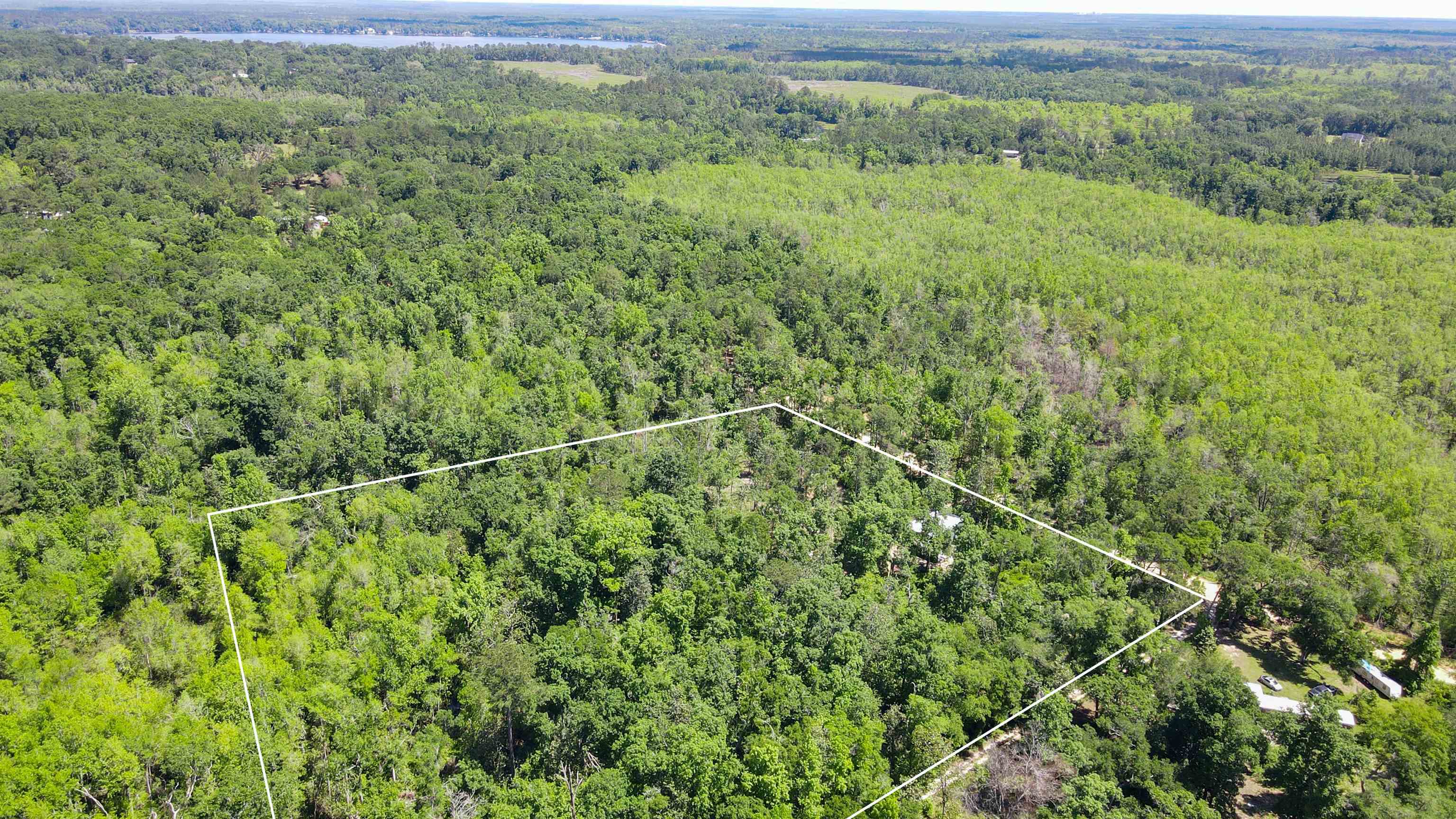 504 Northeast Homesite Road Madison County, FL 32340 - Photo 8 of 28