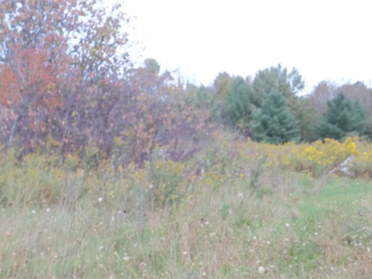 7400 Kokosing Road Hale, MI 48739 - Photo 3 of 5 1806678-2.JPG