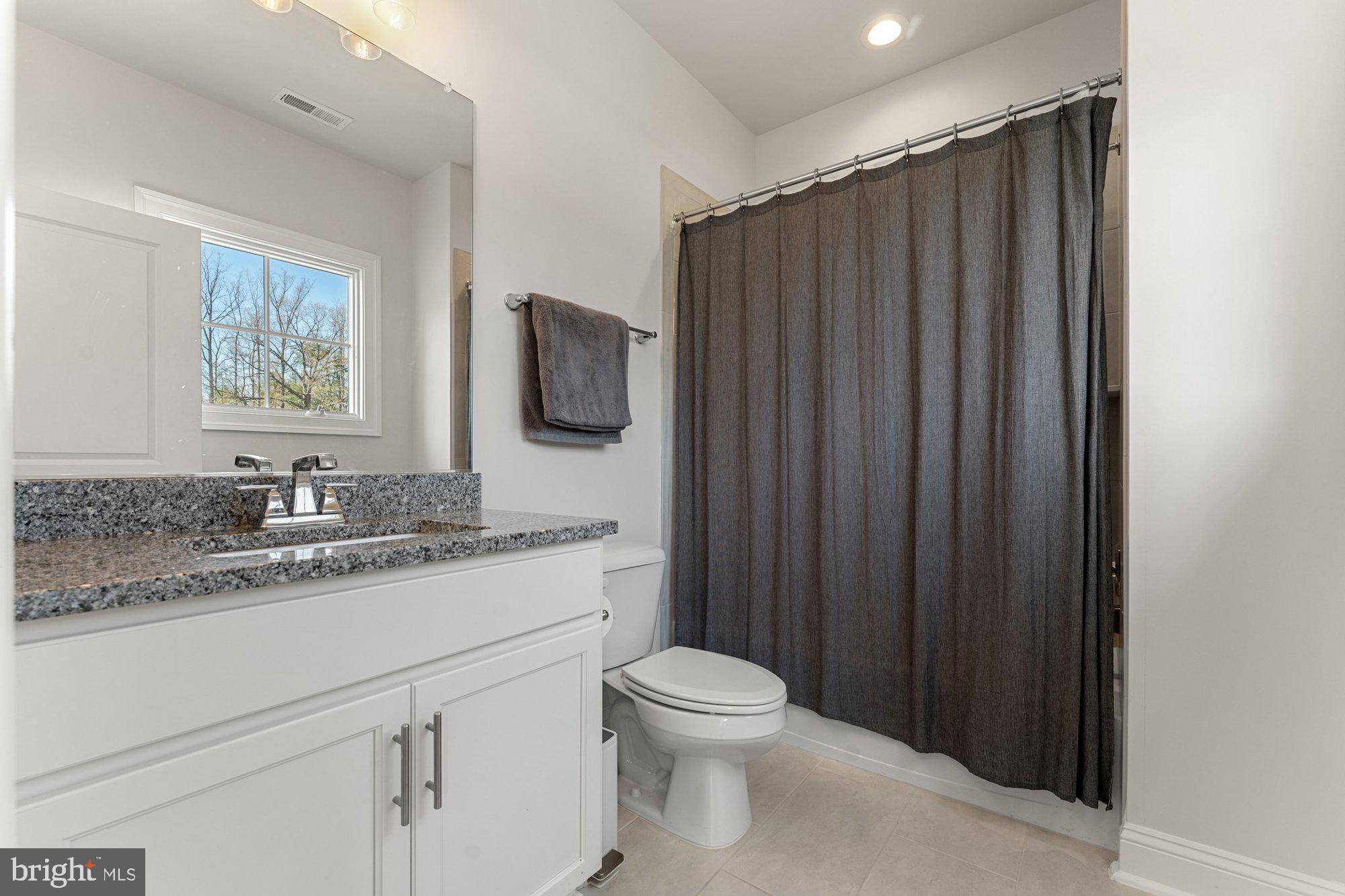1007 Ware Street Southwest Vienna, VA 22180 - Photo 47 of 86 Gallery Image 47