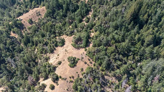 an aerial view of residential houses with outdoor space and trees