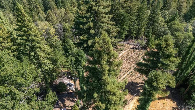 a view of a city with lush green forest