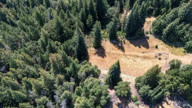 a view of a yard in front of house