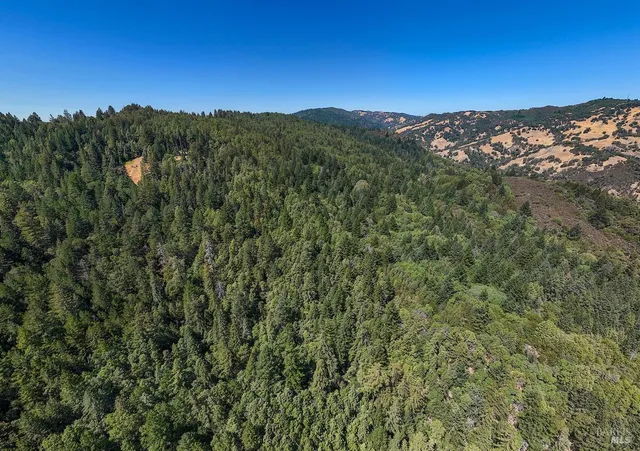 a view of a couches in the balcony