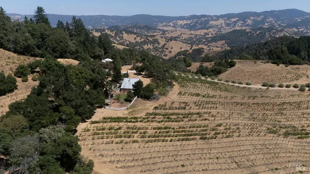 a view of outdoor space and garden