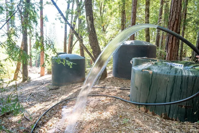 a view of dirt yard with a tree