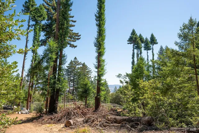 a view of a yard in a yard
