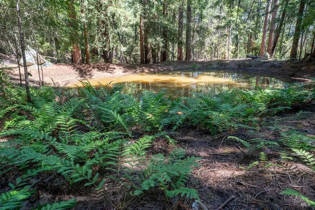 $750,000 | 30401 Hwy 128 Highway, Cloverdale, CA 95425