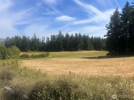 a view of a lake with a city