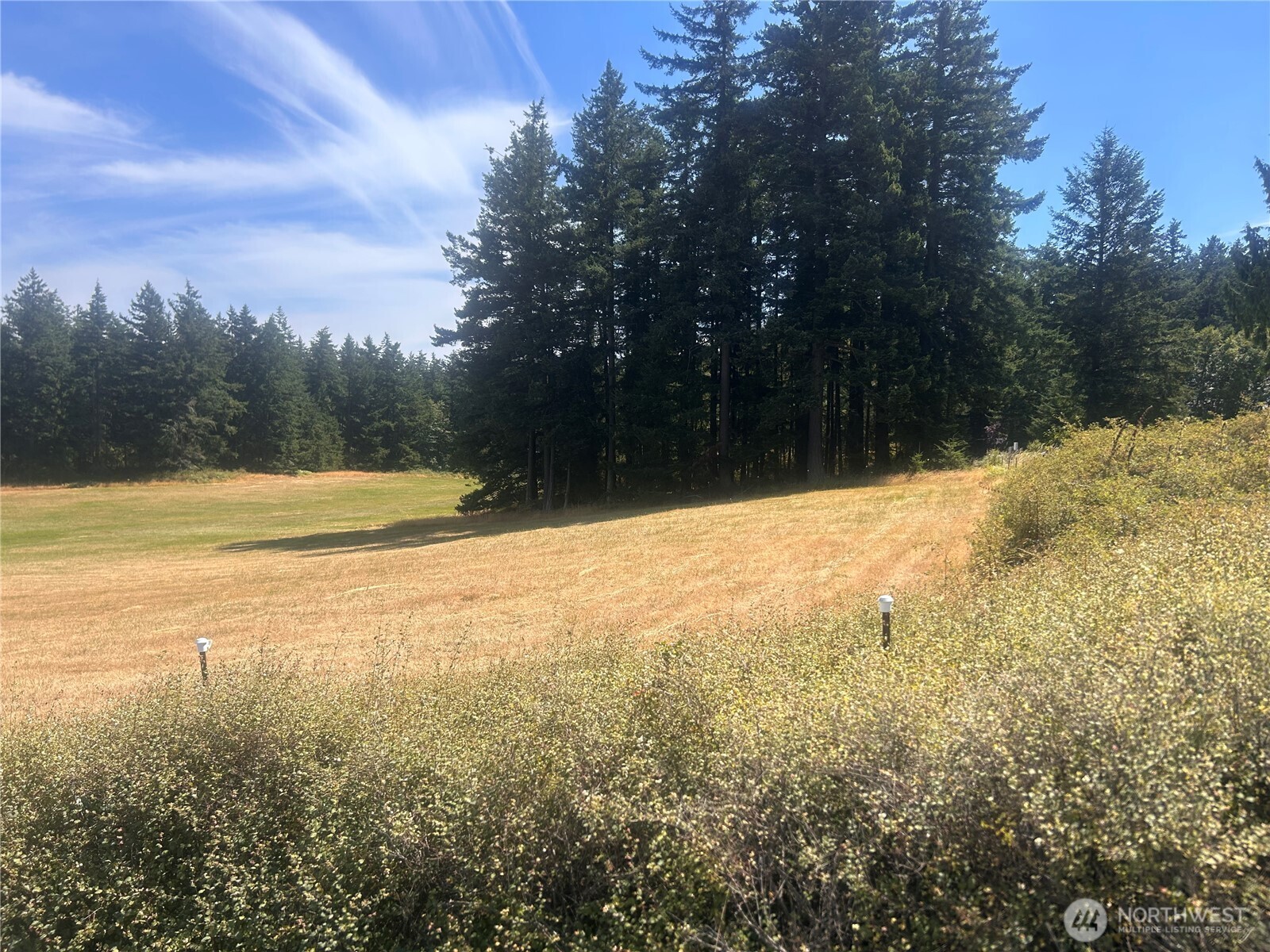 0 Hawkins Road Orcas Island, WA 98245 - Photo 3 of 6 a view of a yard with trees in the background