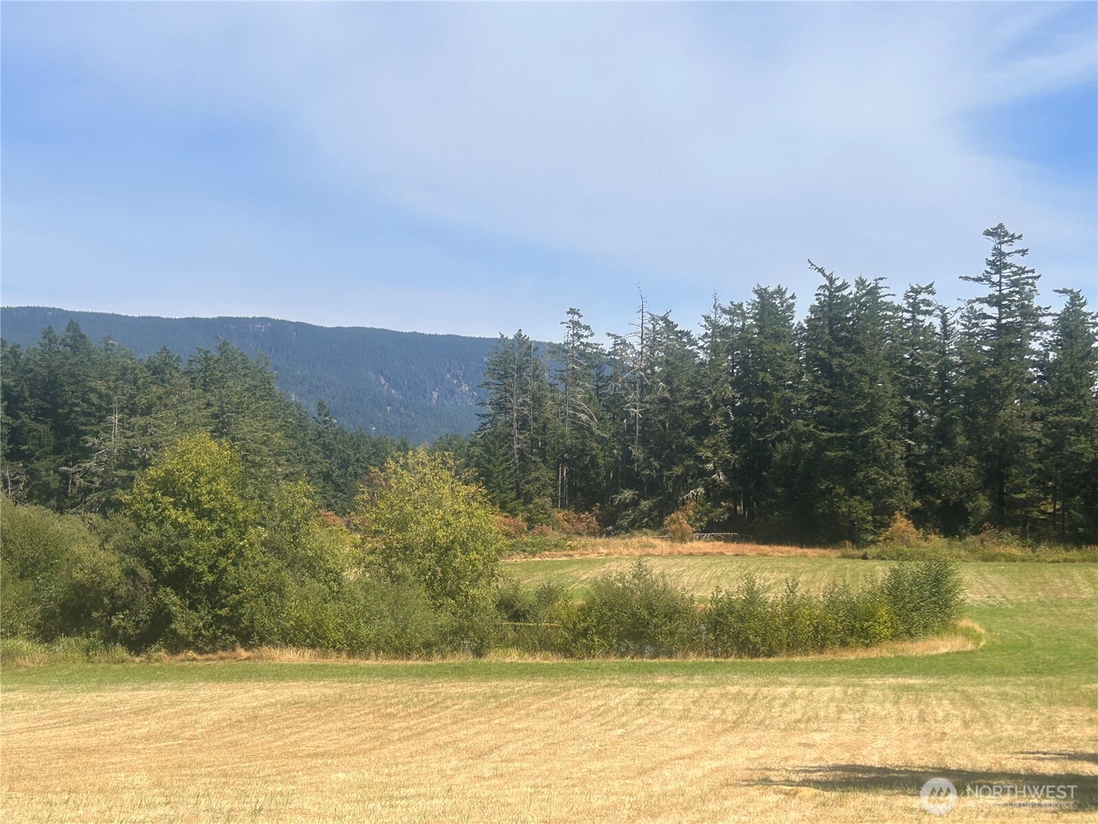 0 Hawkins Road Orcas Island, WA 98245 - Photo 4 of 6 a view of swimming pool and mountain