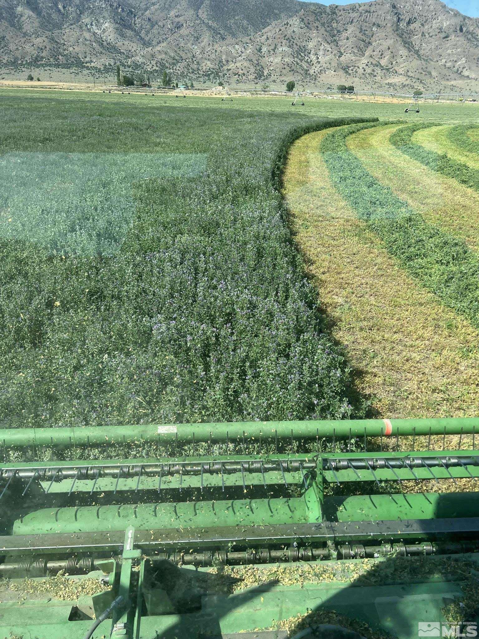 315 Highway 338 Smith, NV 89430 - Photo 2 of 7 a view of a grassy field