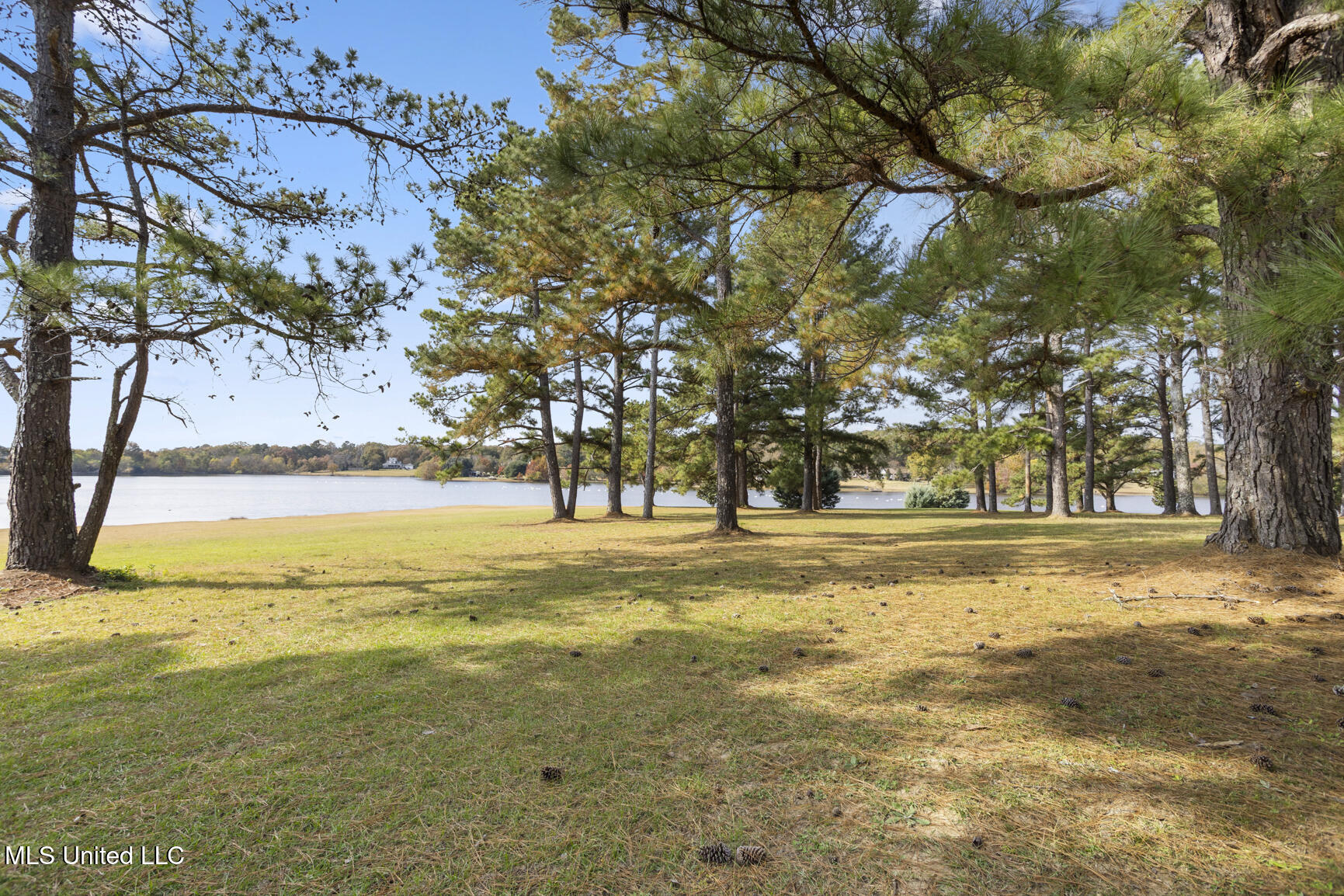 1039 Cedar Hill Road Madison, MS 39110 - Photo 71 of 94 1039 Cedar Hill-55