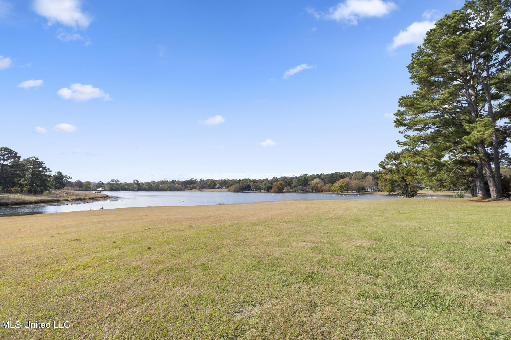 1039 Cedar Hill Road Madison, MS 39110 - Photo 72 of 94 1039 Cedar Hill-56