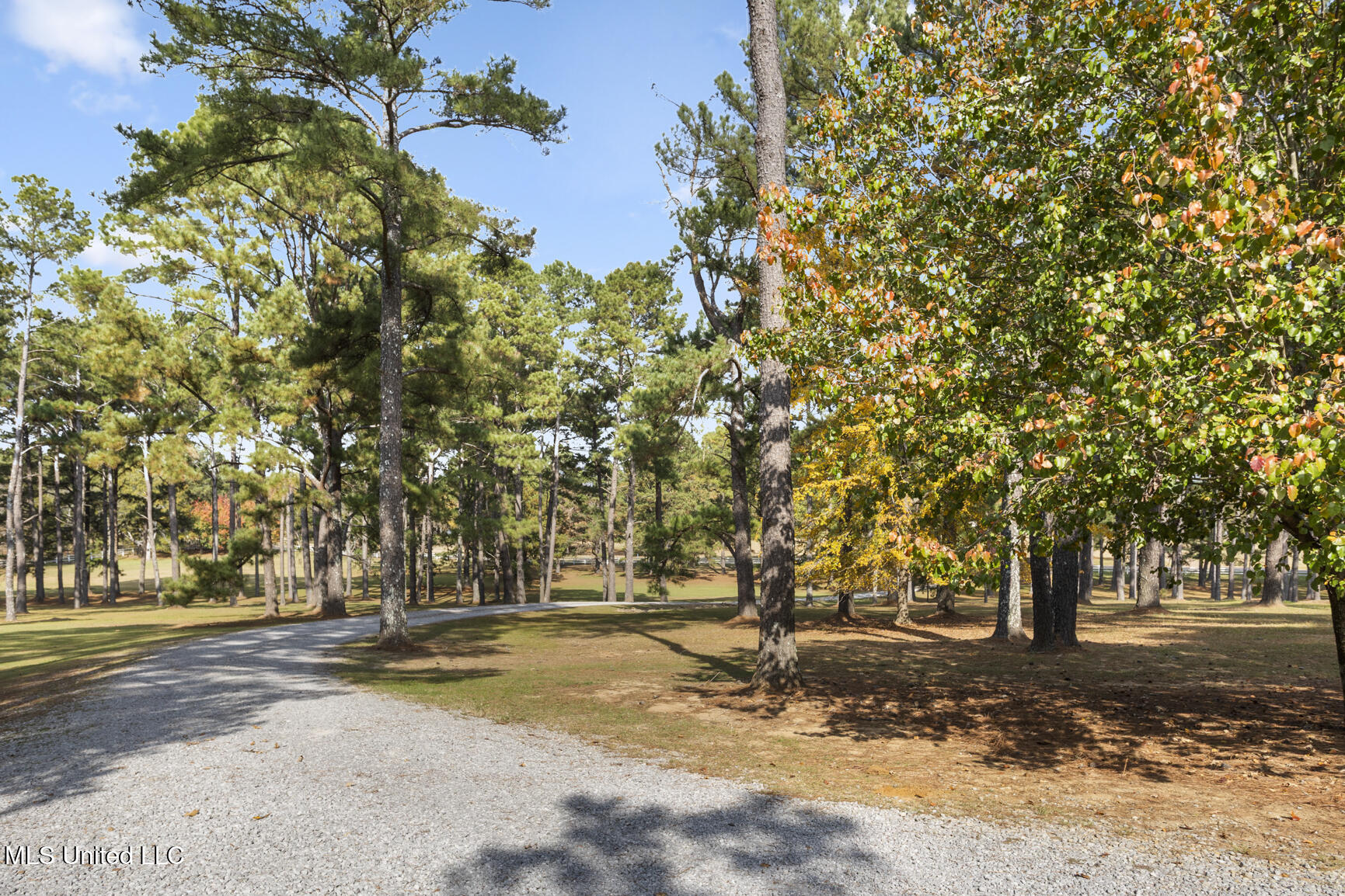 1039 Cedar Hill Road Madison, MS 39110 - Photo 77 of 94 1039 Cedar Hill-61
