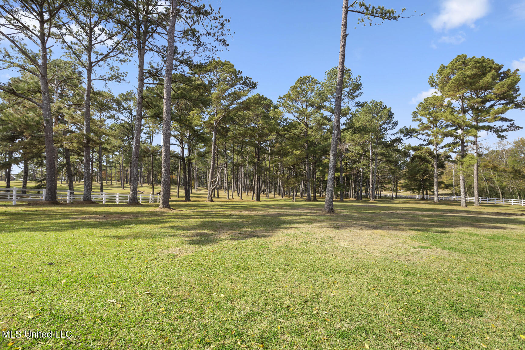 1039 Cedar Hill Road Madison, MS 39110 - Photo 84 of 94 1039 Cedar Hill-68