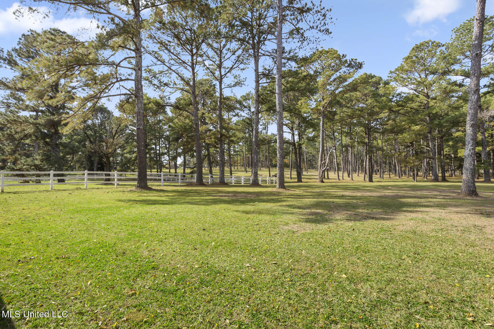1039 Cedar Hill Road Madison, MS 39110 - Photo 85 of 94 1039 Cedar Hill-69