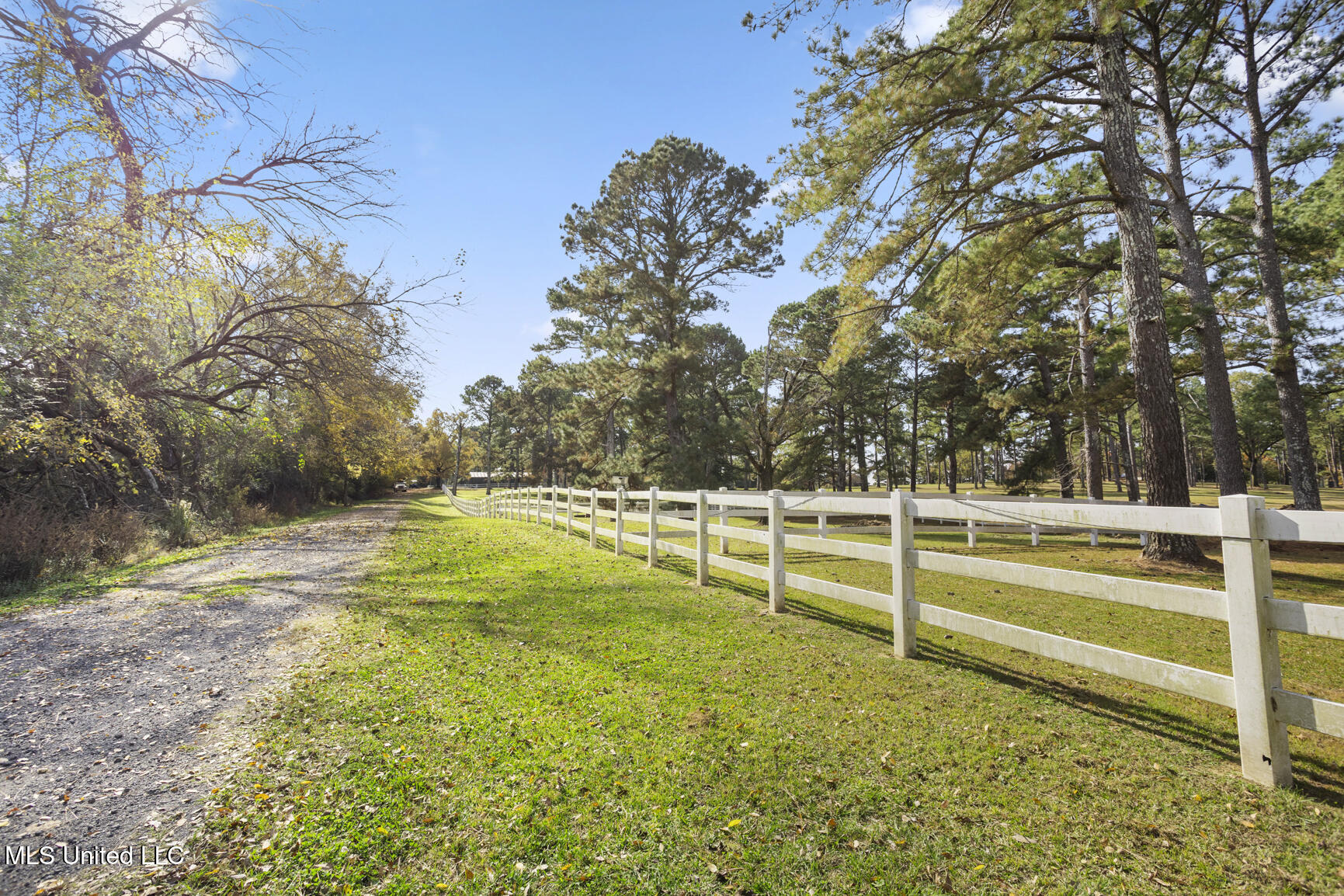 1039 Cedar Hill Road Madison, MS 39110 - Photo 86 of 94 1039 Cedar Hill-70