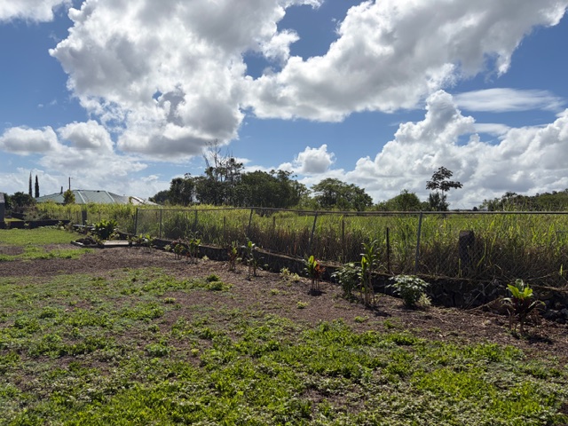 856 Ho'olala Place Hilo, HI 96720 - Photo 8 of 30 a view of a lake with a big yard and a fountain