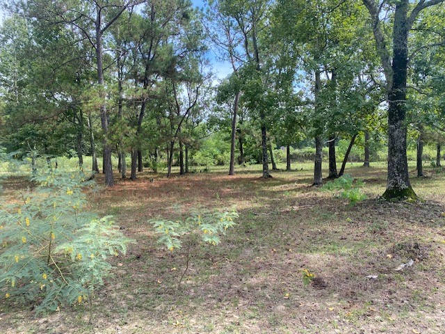 0 Firetower Road Conroe, TX 77306 - Photo 12 of 15 a view of outdoor space with trees