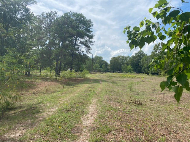 0 Firetower Road Conroe, TX 77306 - Photo 15 of 15 a view of a field with trees