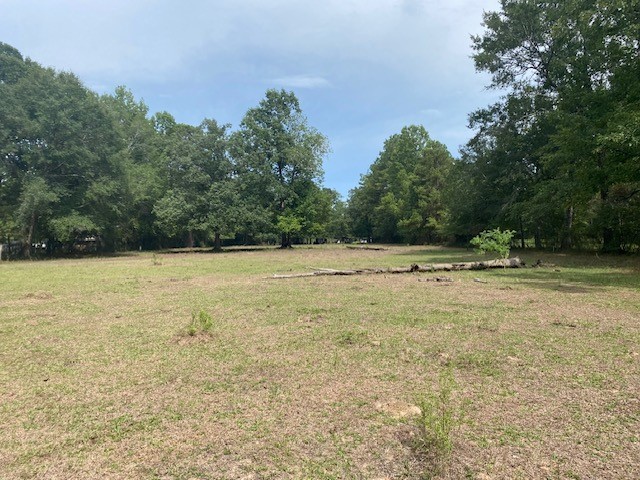 0 Firetower Road Conroe, TX 77306 - Photo 4 of 15 a view of a field with trees in the background