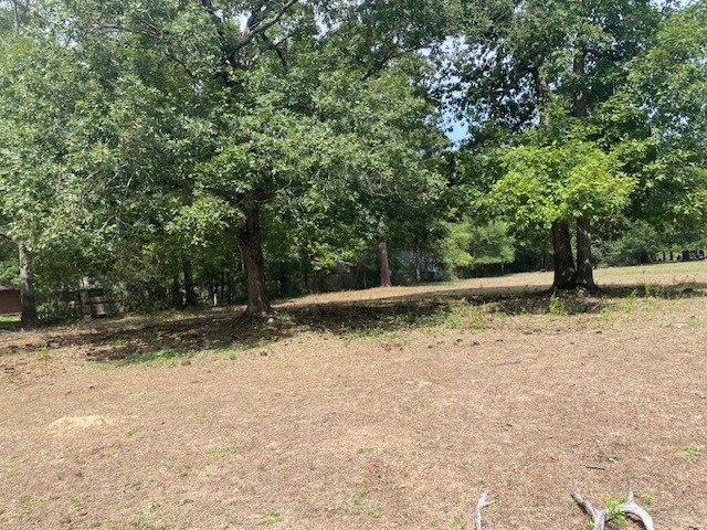 0 Firetower Road Conroe, TX 77306 - Photo 6 of 15 a view of a yard with a tree
