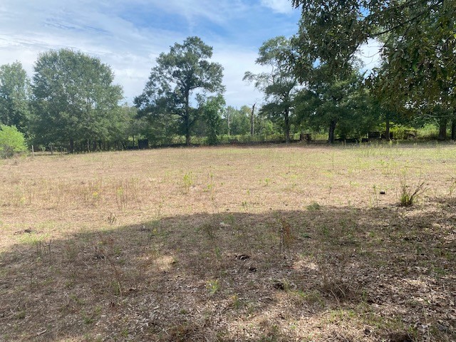 0 Firetower Road Conroe, TX 77306 - Photo 9 of 15 a view of a lake view