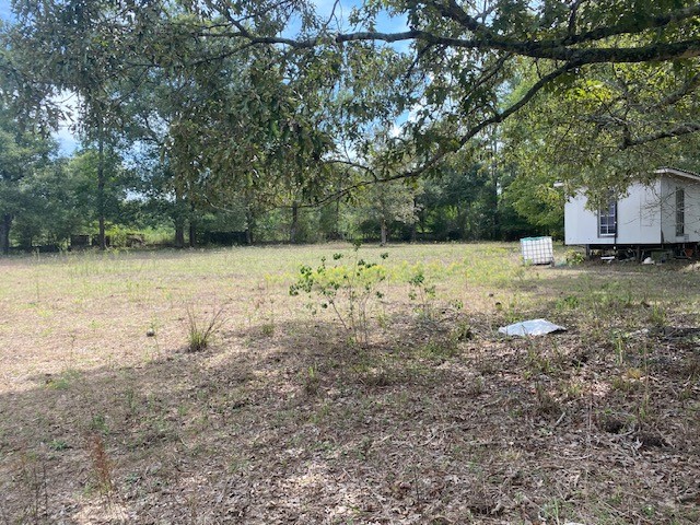 0 Firetower Road Conroe, TX 77306 - Photo 10 of 15 a view of a yard with an outdoor space