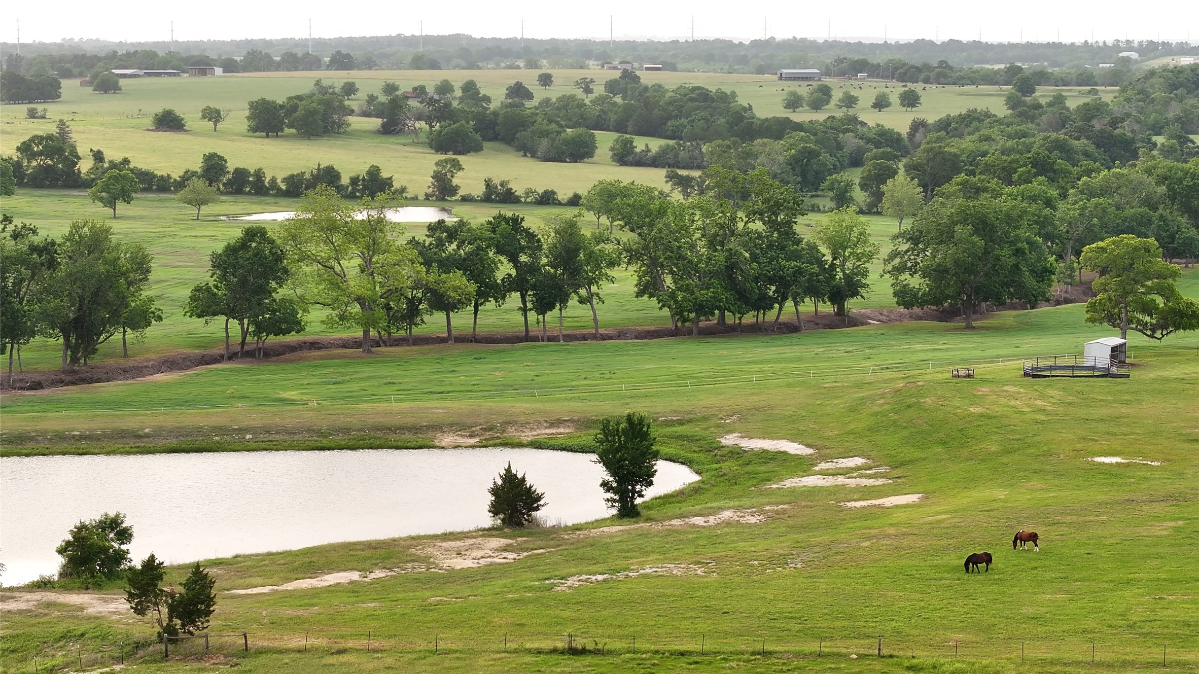 3283-2 Fm 2562 Road Anderson, TX 77830 - Photo 18 of 36