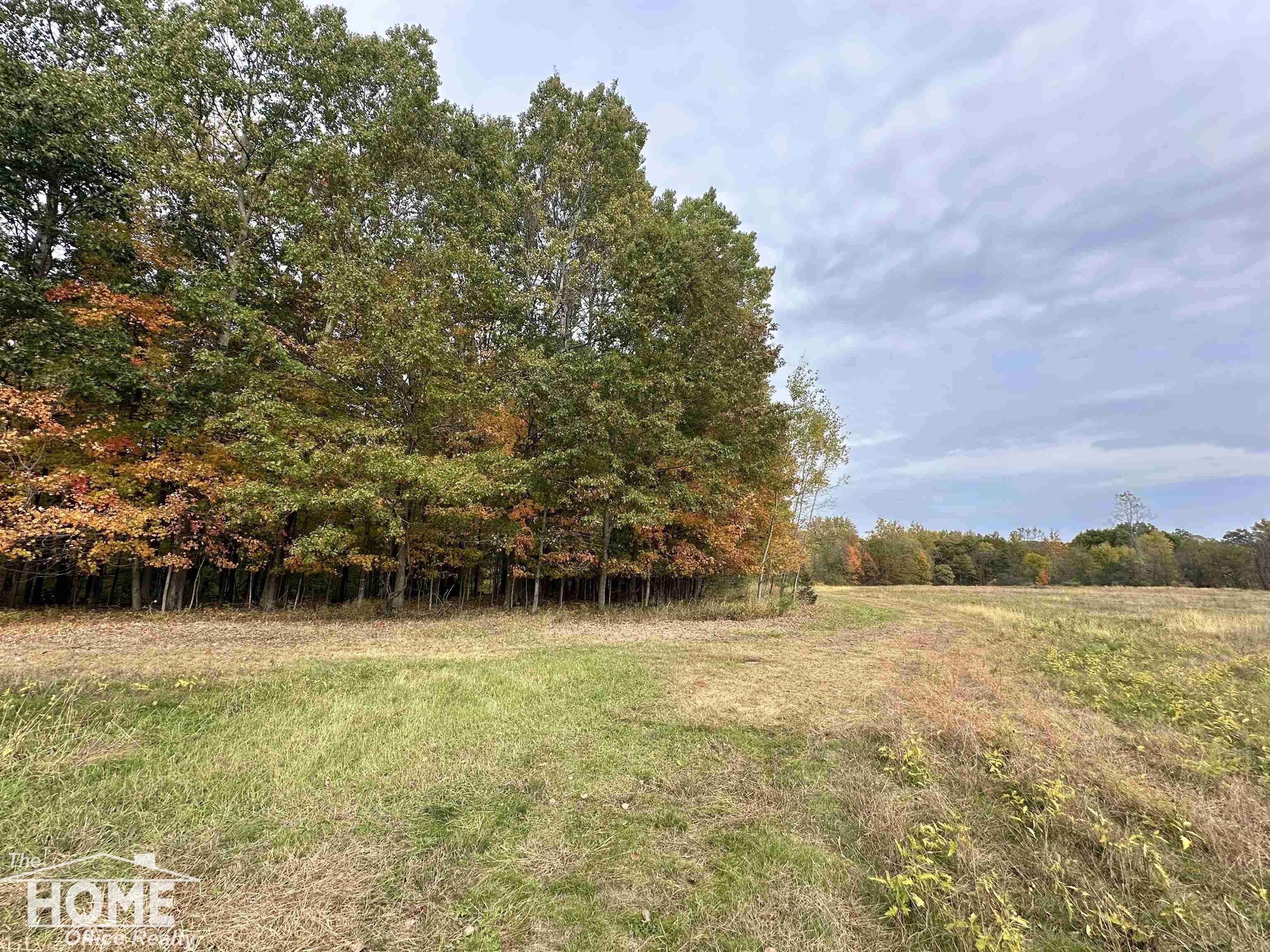 0 Colvin Road St. Charles, MI 48655 - Photo 18 of 23