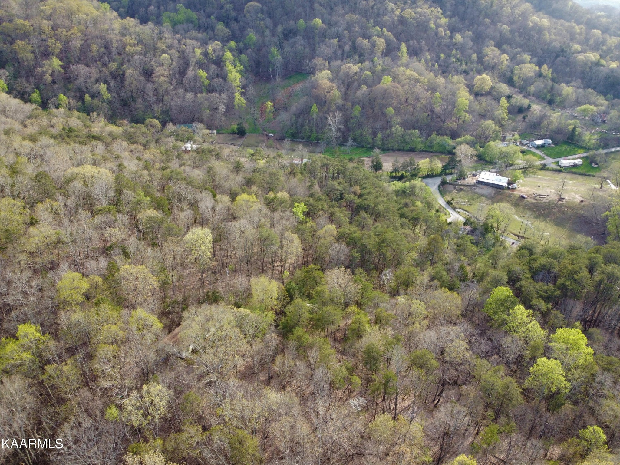 0 Lester Whitt Road Rutledge, TN 37861 - Photo 12 of 26 Gallery Image 12