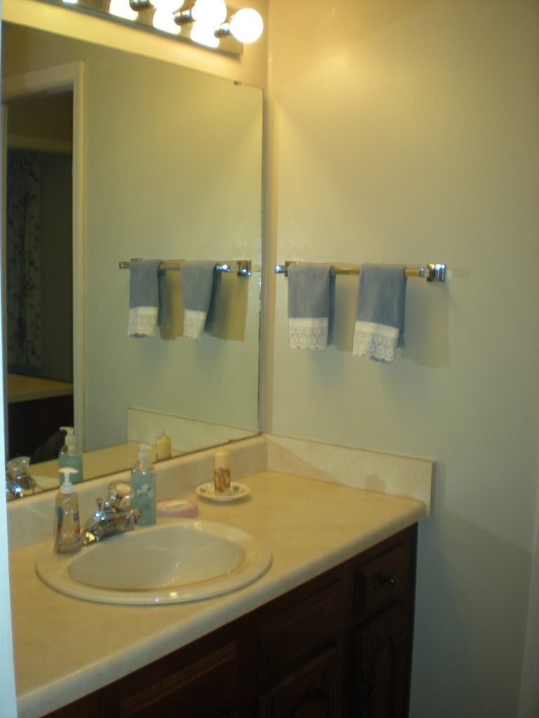422 Stonehaven Lane Blue Ridge, VA 24064 - Photo 22 of 44 a bathroom with a sink and a mirror