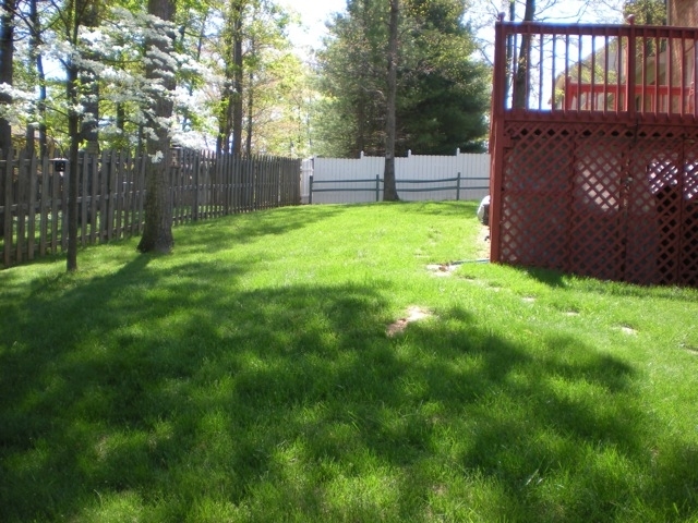 422 Stonehaven Lane Blue Ridge, VA 24064 - Photo 8 of 44 a view of a backyard with a garden