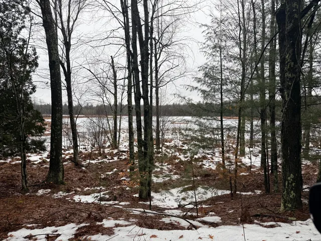 $125,000 | -vl Poplar Avenue, White Cloud, MI 49349