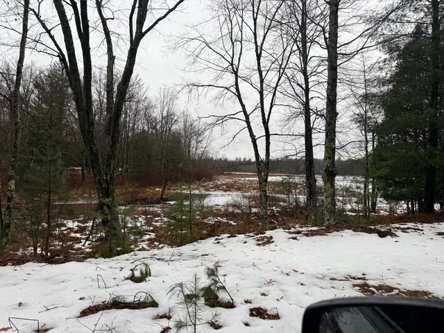 $125,000 | -vl Poplar Avenue, White Cloud, MI 49349