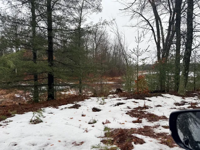 $125,000 | -vl Poplar Avenue, White Cloud, MI 49349