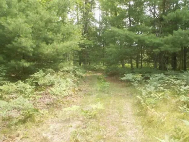 $125,000 | -vl Poplar Avenue, White Cloud, MI 49349