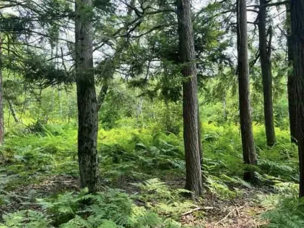$110,000 | -vl Poplar Avenue, White Cloud, MI 49349