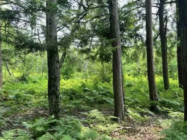 $125,000 | -vl Poplar Avenue, White Cloud, MI 49349