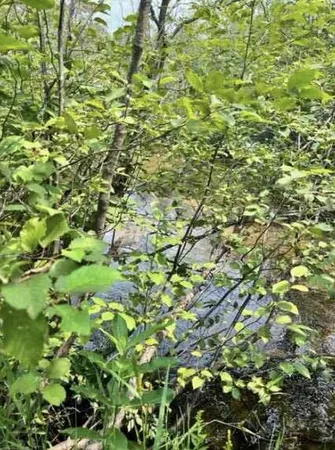 $110,000 | -vl Poplar Avenue, White Cloud, MI 49349
