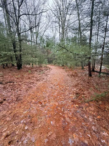 $125,000 | -vl Poplar Avenue, White Cloud, MI 49349