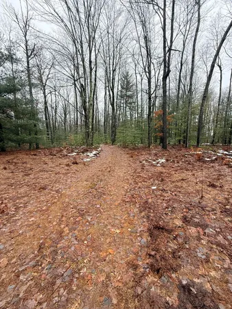 $110,000 | -vl Poplar Avenue, White Cloud, MI 49349