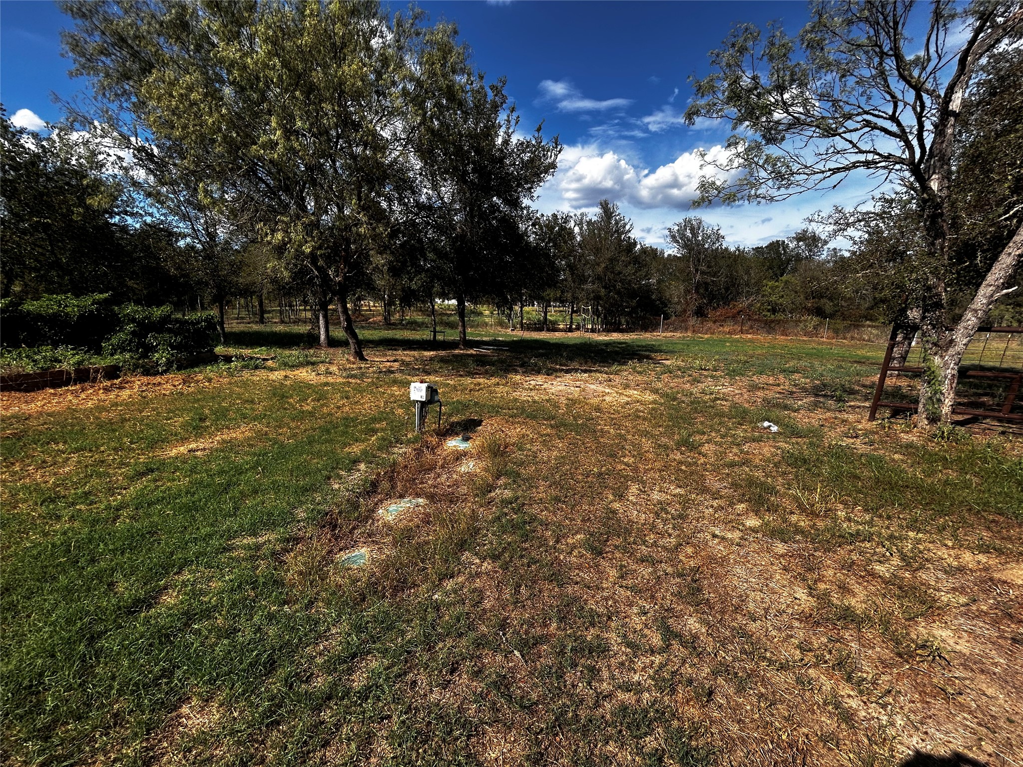400 Ride Out Boulevard Elgin, TX 78621 - Photo 6 of 9 Mature trees shade a spacious grassy clearing under blue skies.