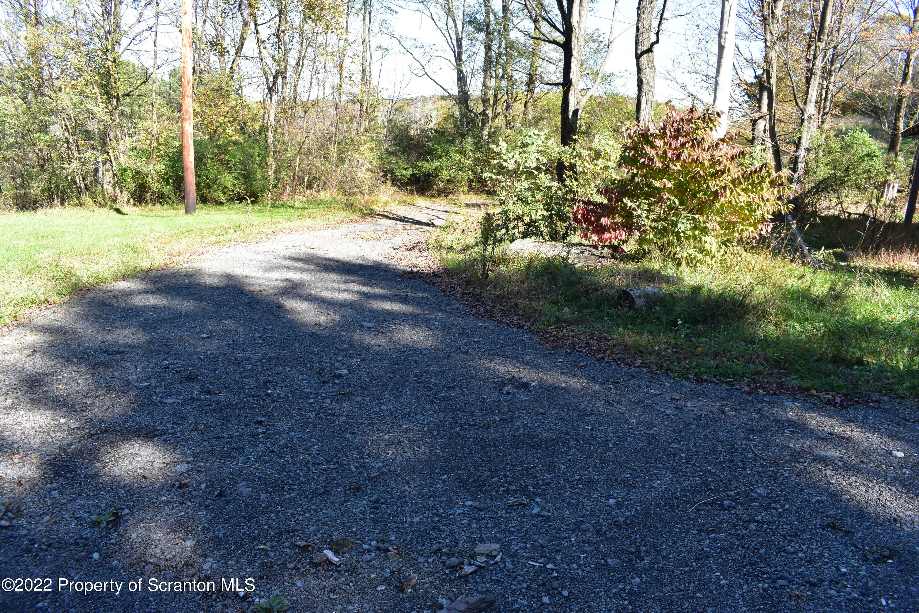 15850 State Rte 3001 Montrose, PA 18801 - Photo 44 of 66 a view of a yard with large trees
